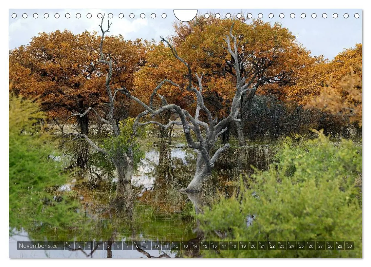 Bild: 9783516137262 | Namibia - Die Landschaft (Wandkalender 2026 DIN A4 quer), CALVENDO...