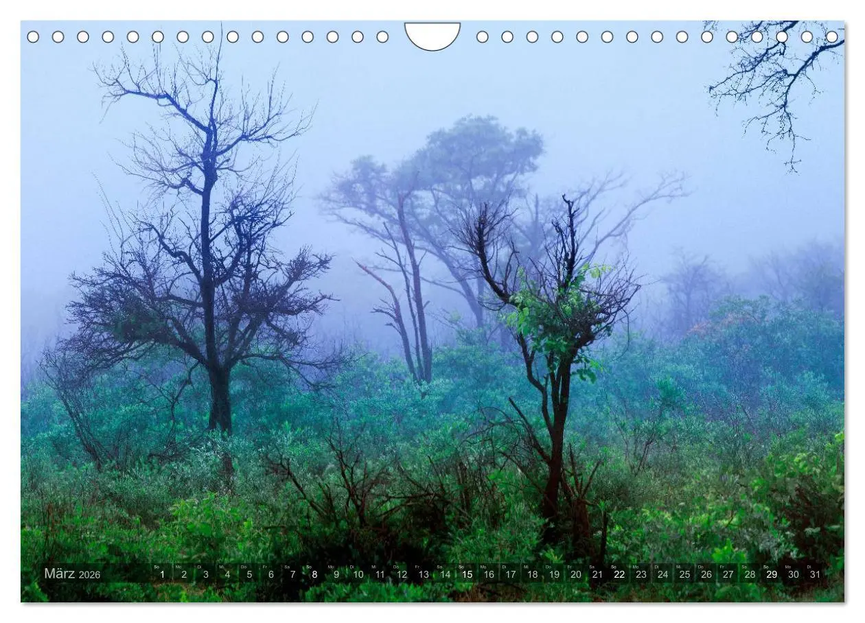 Bild: 9783516137262 | Namibia - Die Landschaft (Wandkalender 2026 DIN A4 quer), CALVENDO...