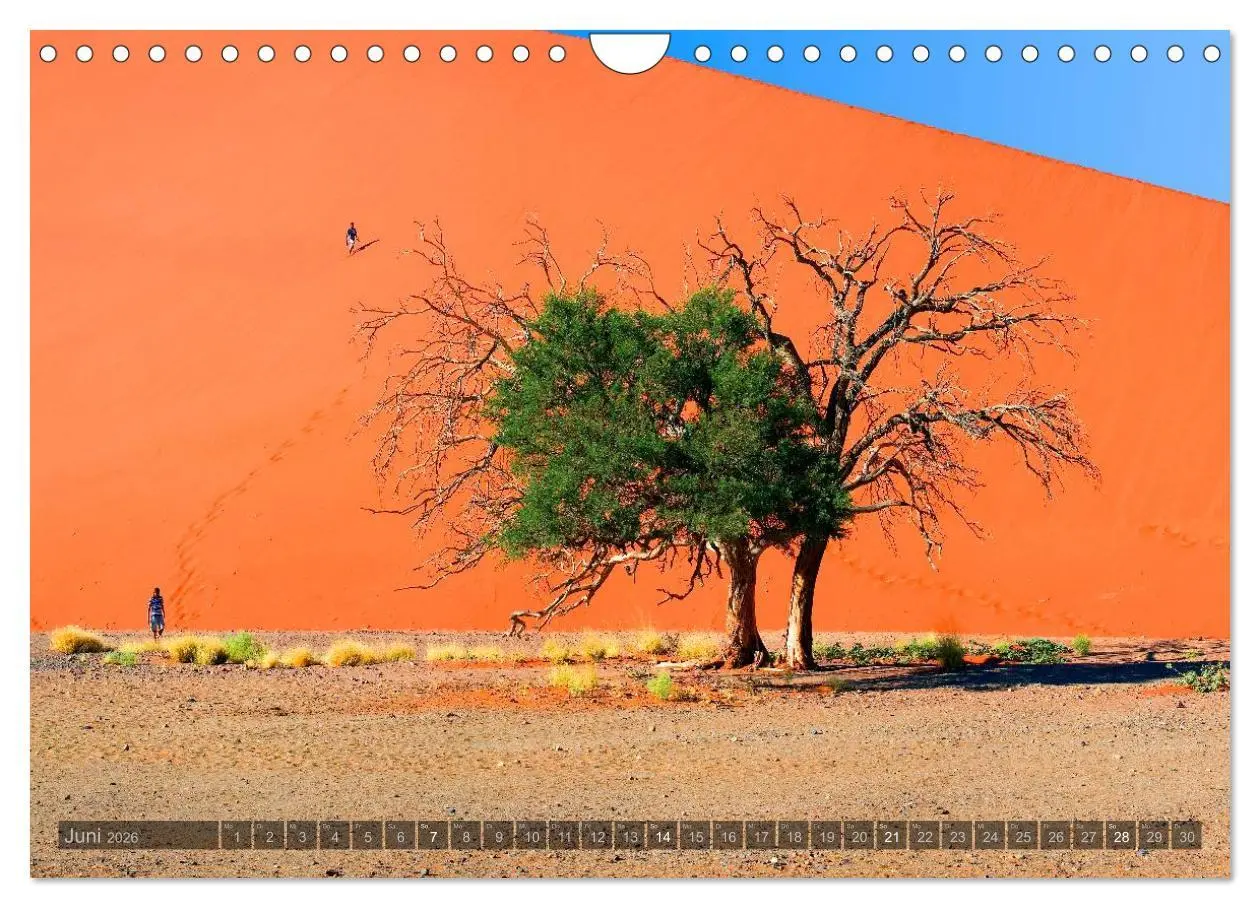 Bild: 9783516137262 | Namibia - Die Landschaft (Wandkalender 2026 DIN A4 quer), CALVENDO...