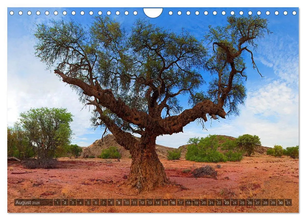 Bild: 9783516137262 | Namibia - Die Landschaft (Wandkalender 2026 DIN A4 quer), CALVENDO...