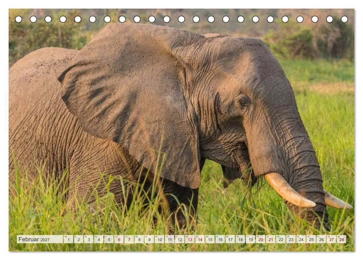 Bild: 9783569397262 | Uganda - ein Land der Vielfalt (Tischkalender 2027 DIN A5 quer),...