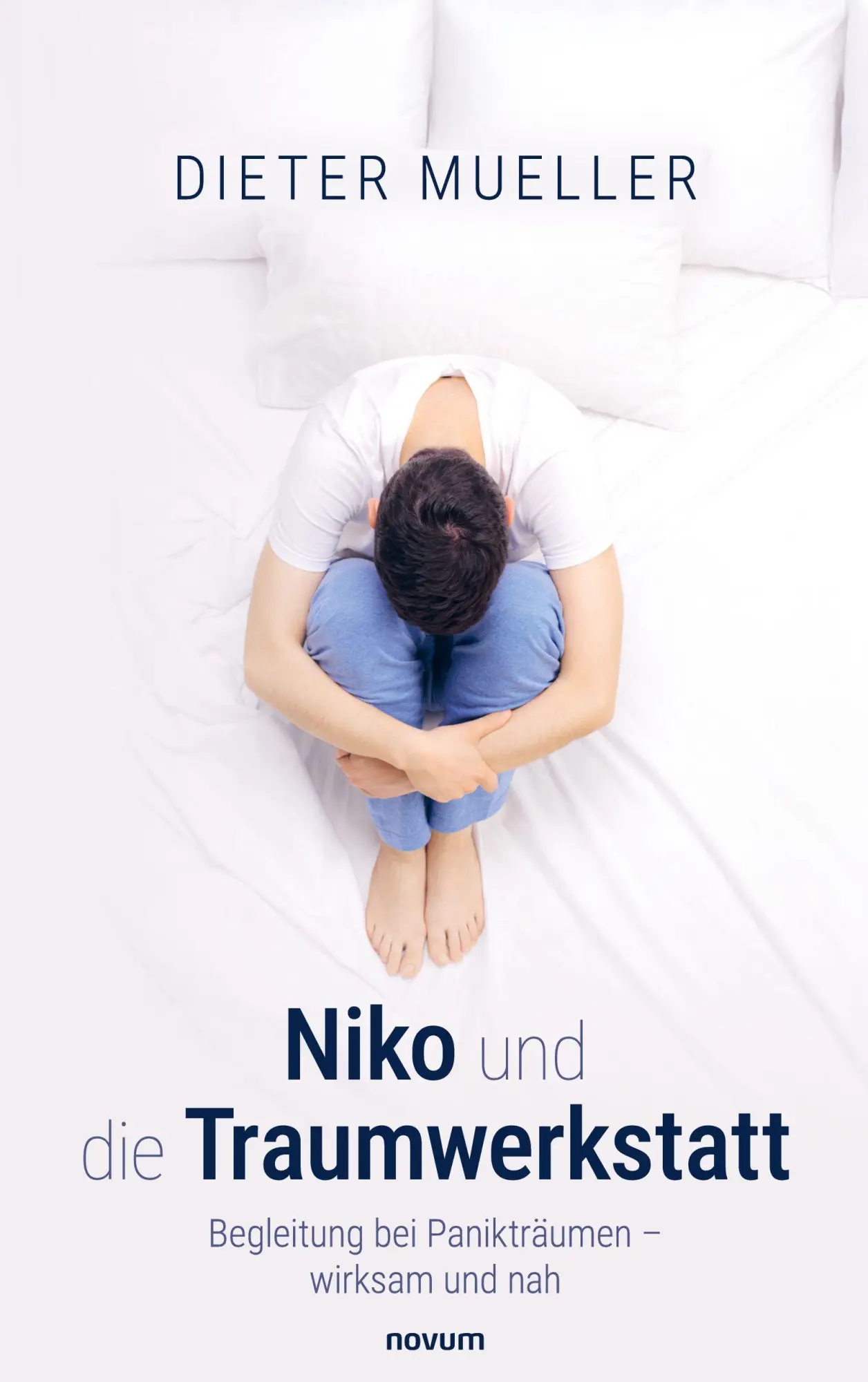 Cover: 9783711617262 | Niko und die Traumwerkstatt | Dieter Mueller | Taschenbuch | Deutsch