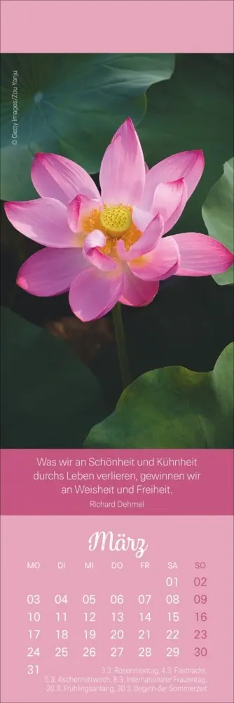 Bild: 9783756407262 | Achtsamkeit Lesezeichen &amp; Kalender 2025 | Kalender | Geblockt | 2025