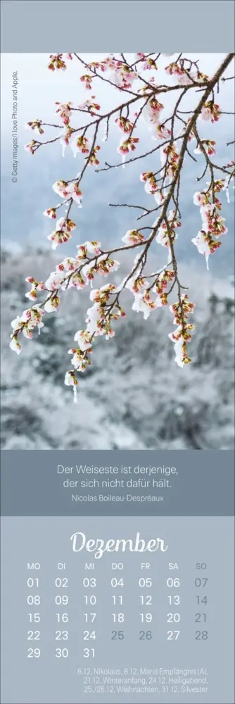 Bild: 9783756407262 | Achtsamkeit Lesezeichen &amp; Kalender 2025 | Kalender | Geblockt | 2025