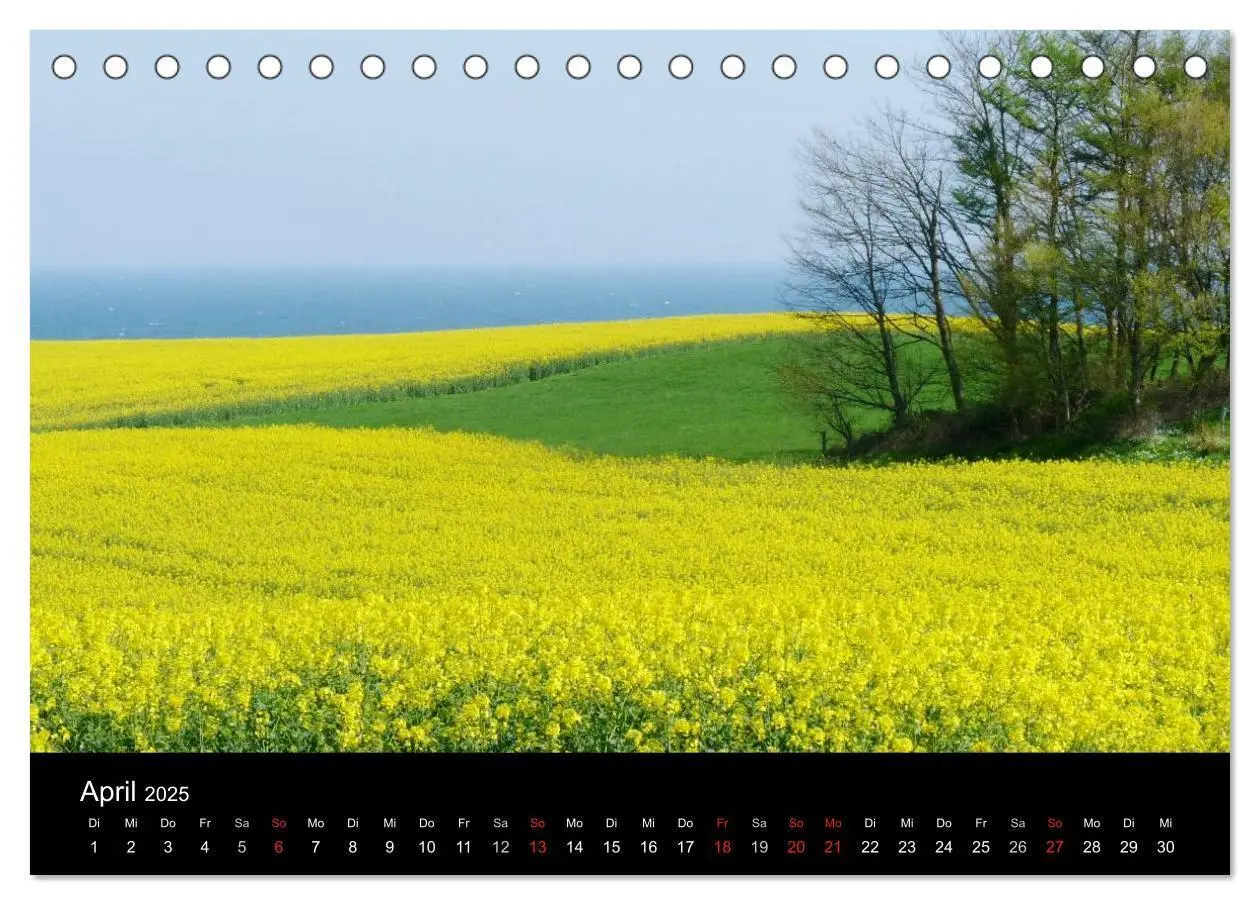 Bild: 9783435497362 | land und leben (Tischkalender 2025 DIN A5 quer), CALVENDO...