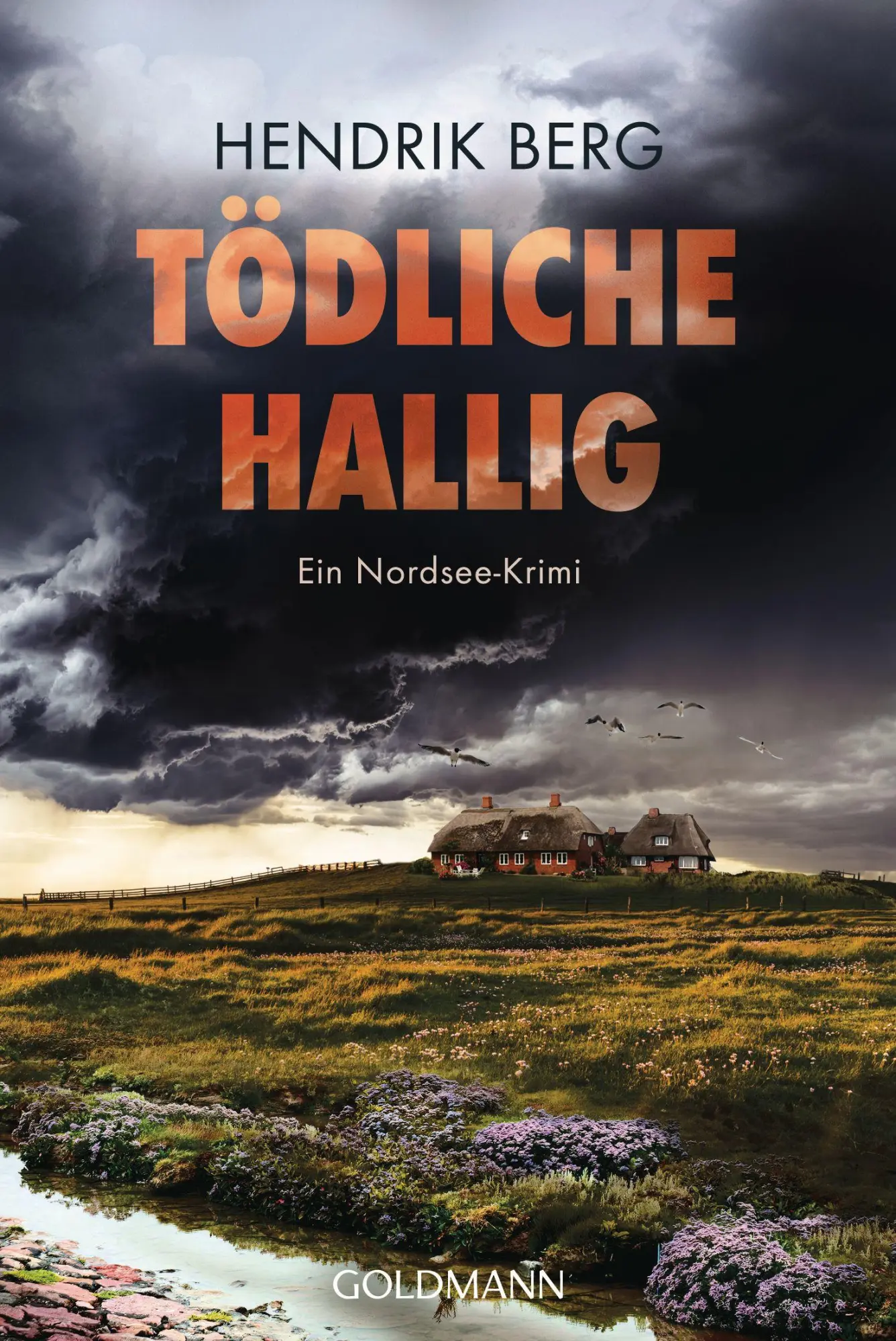 Cover: 9783442497362 | Tödliche Hallig | Ein Nordsee-Krimi | Hendrik Berg | Taschenbuch