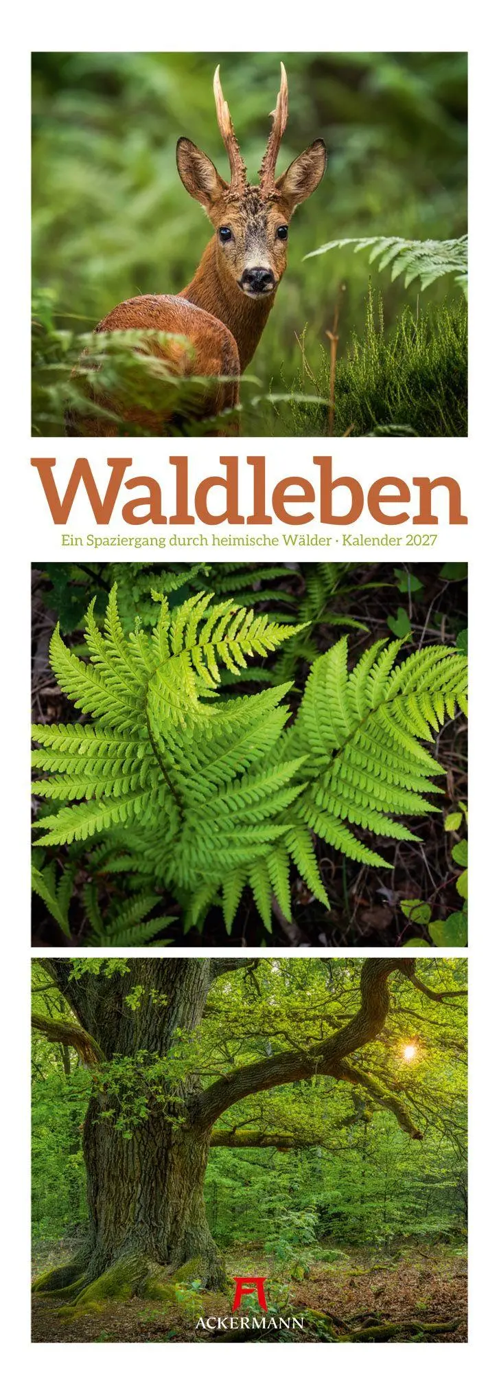Cover: 9783838427362 | Waldleben Triplet-Kalender 2027 Spaziergang durch heimische Wälder