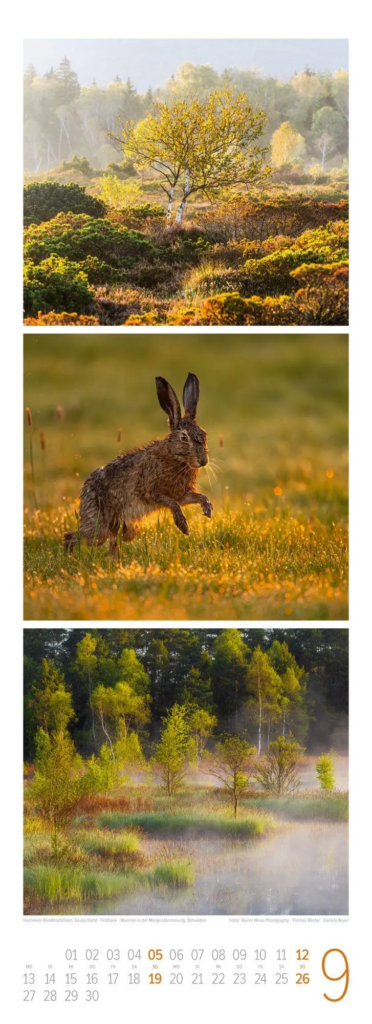 Bild: 9783838427362 | Waldleben Triplet-Kalender 2027 Spaziergang durch heimische Wälder