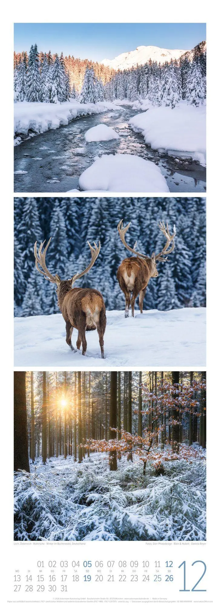 Bild: 9783838427362 | Waldleben Triplet-Kalender 2027 Spaziergang durch heimische Wälder