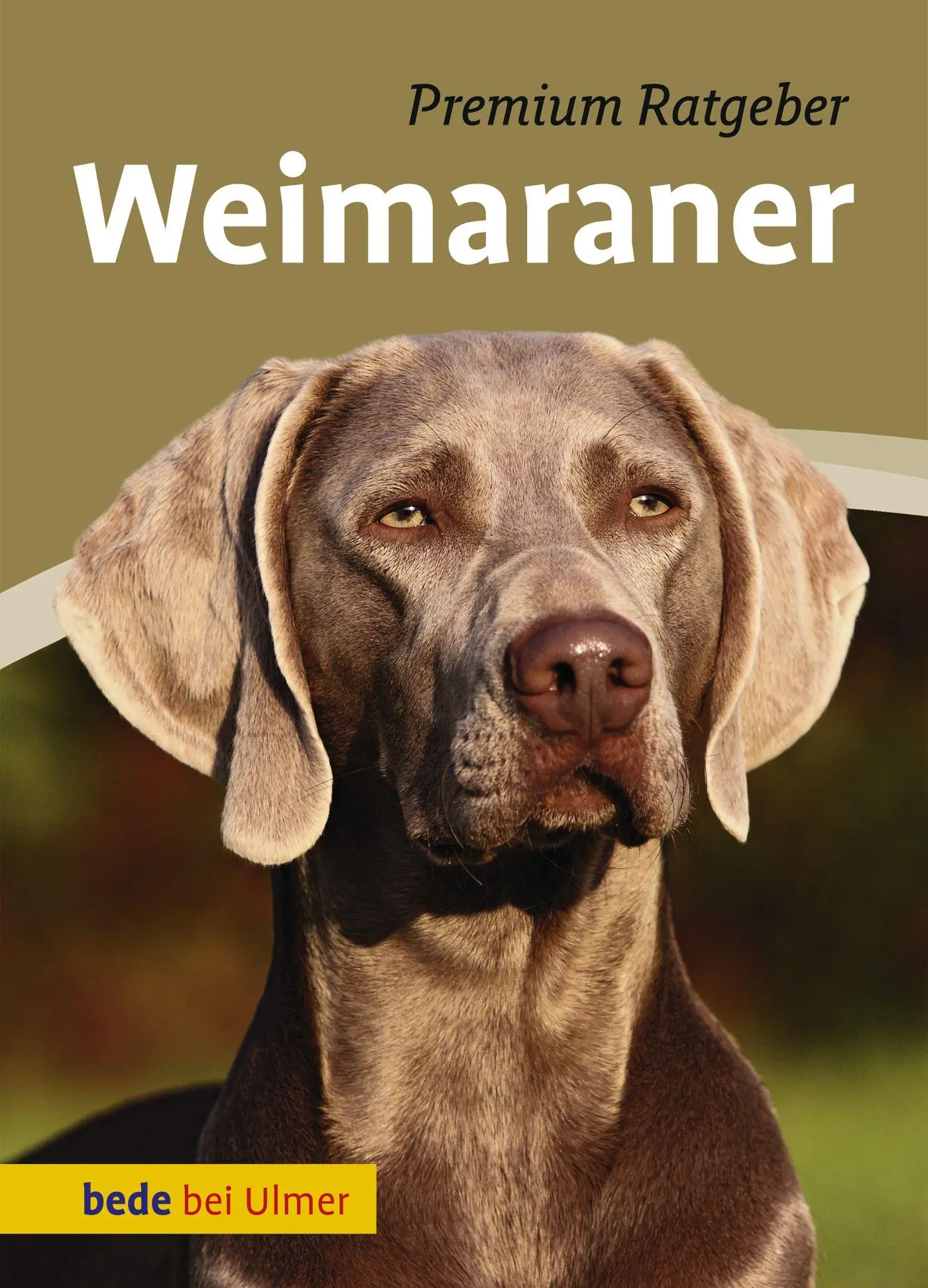 Cover: 9783800177462 | Weimaraner | Annette Schmitt | Buch | bede bei Ulmer | 128 S. | 2013 Cover: 9783800177462 | Weimaraner | Annette Schmitt | Buch | bede bei Ulmer | 128 S. | 2013