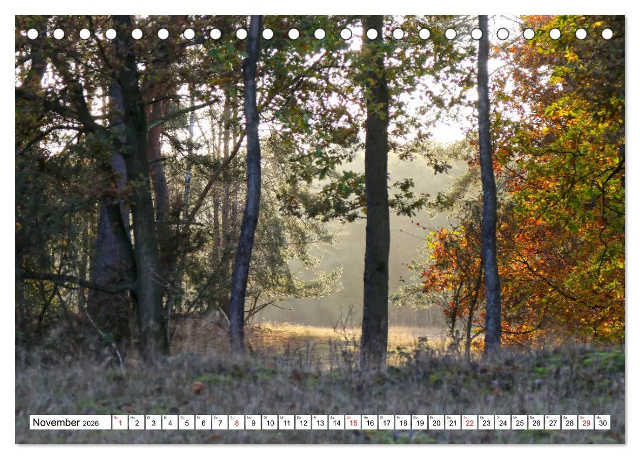 Bild: 9783457497562 | Lingen Ems (Tischkalender 2026 DIN A5 quer), CALVENDO Monatskalender