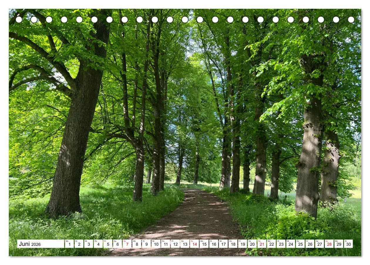 Bild: 9783457497562 | Lingen Ems (Tischkalender 2026 DIN A5 quer), CALVENDO Monatskalender