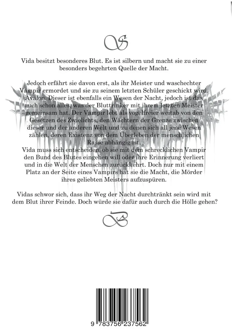 Rückseite: 9783756237562 | Silver Blood | Buch 1: Vergessen | Bente Mott | Taschenbuch | 532 S.
