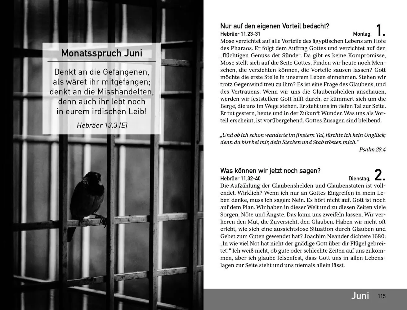 Bild: 9783765527562 | Termine mit Gott 2026 | Hansjörg Kopp | Buch | Deutsch | 2025