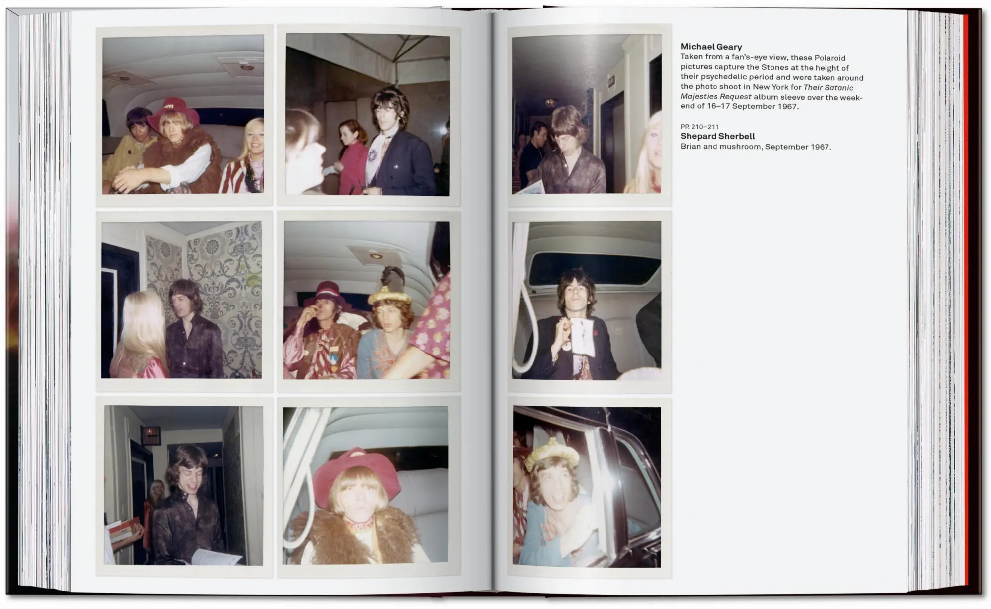 Bild: 9783836597562 | The Rolling Stones. 45th Ed. | Reuel Golden | Buch | 45th Edition