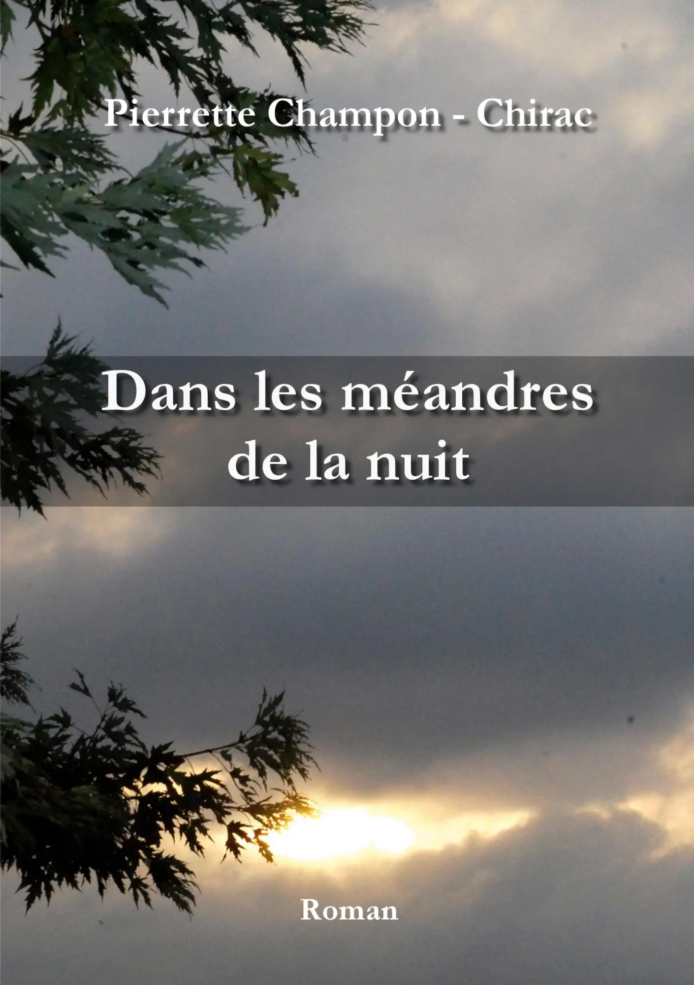 Cover: 9782322537662 | Dans les méandres de la nuit | Pierrette Champon - Chirac | Buch