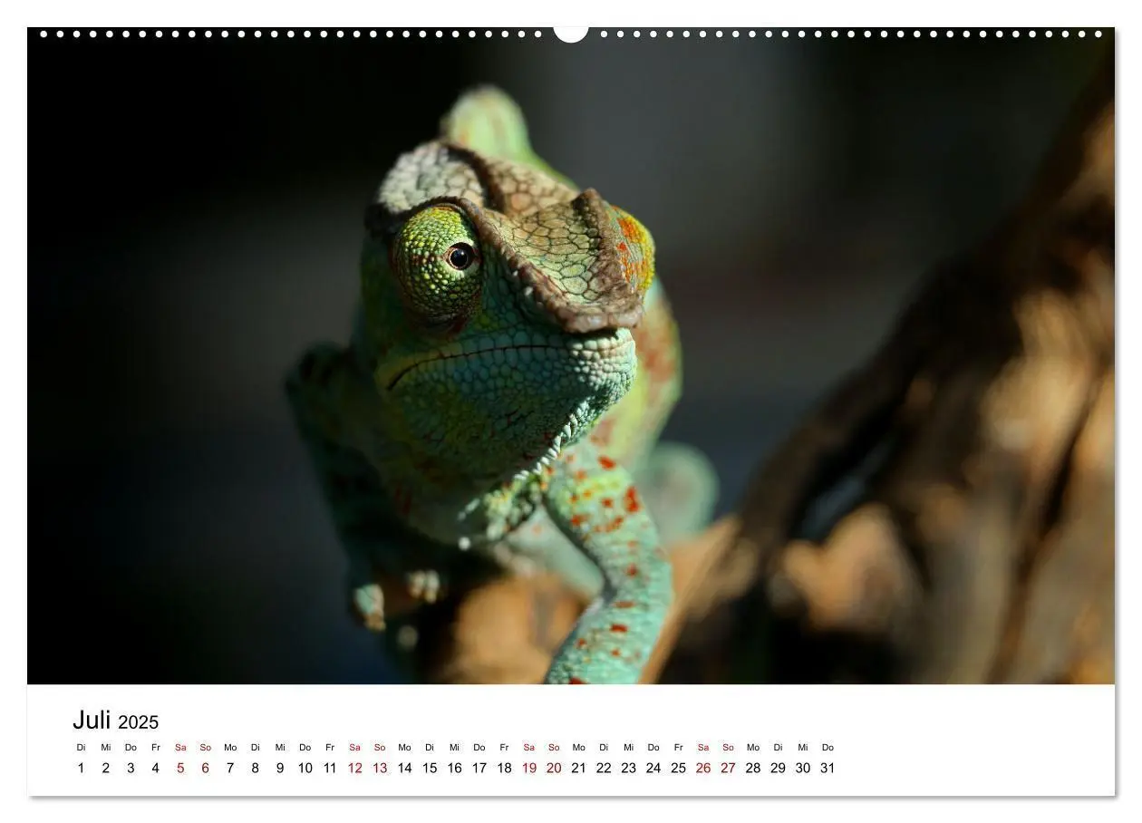 Bild: 9783383997662 | Naturparadies Madagaskar (Wandkalender 2025 DIN A2 quer), CALVENDO...