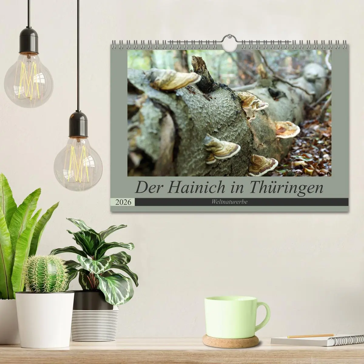Bild: 9783457867662 | Der Hainich in Thüringen - Weltnaturerbe (Wandkalender 2026 DIN A4...