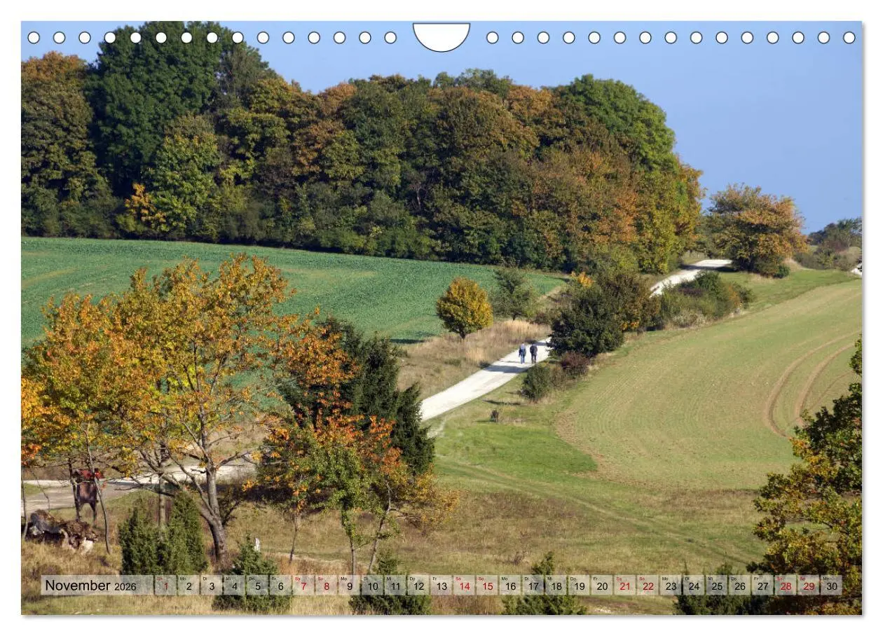 Bild: 9783457867662 | Der Hainich in Thüringen - Weltnaturerbe (Wandkalender 2026 DIN A4...