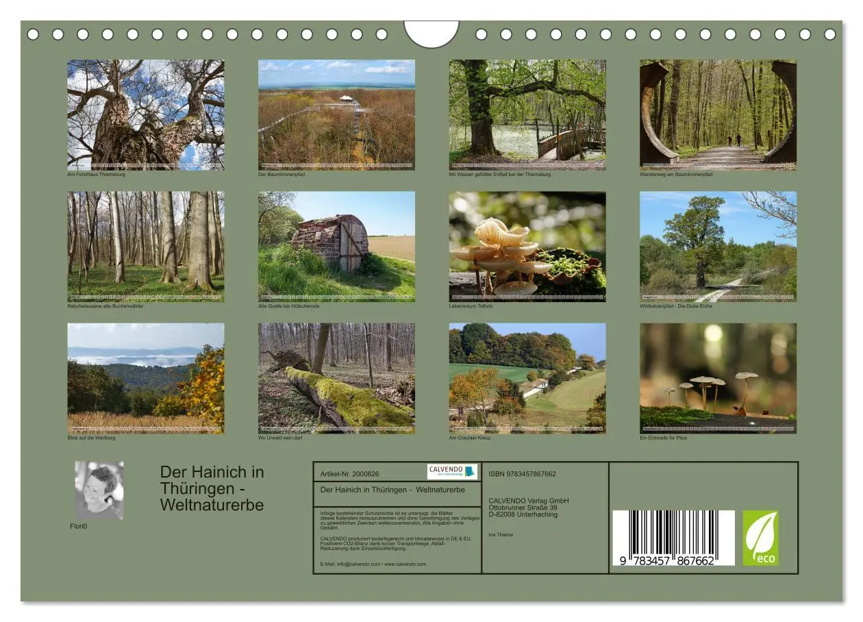 Bild: 9783457867662 | Der Hainich in Thüringen - Weltnaturerbe (Wandkalender 2026 DIN A4...