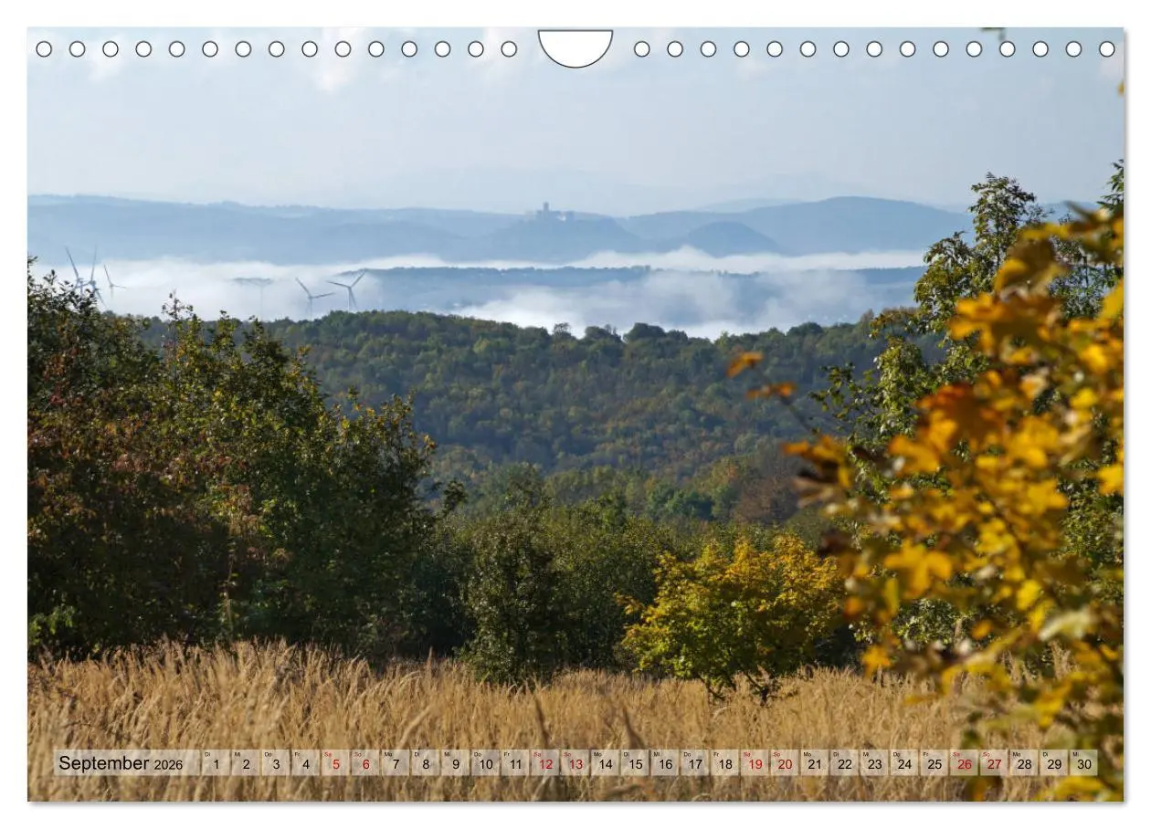 Bild: 9783457867662 | Der Hainich in Thüringen - Weltnaturerbe (Wandkalender 2026 DIN A4...
