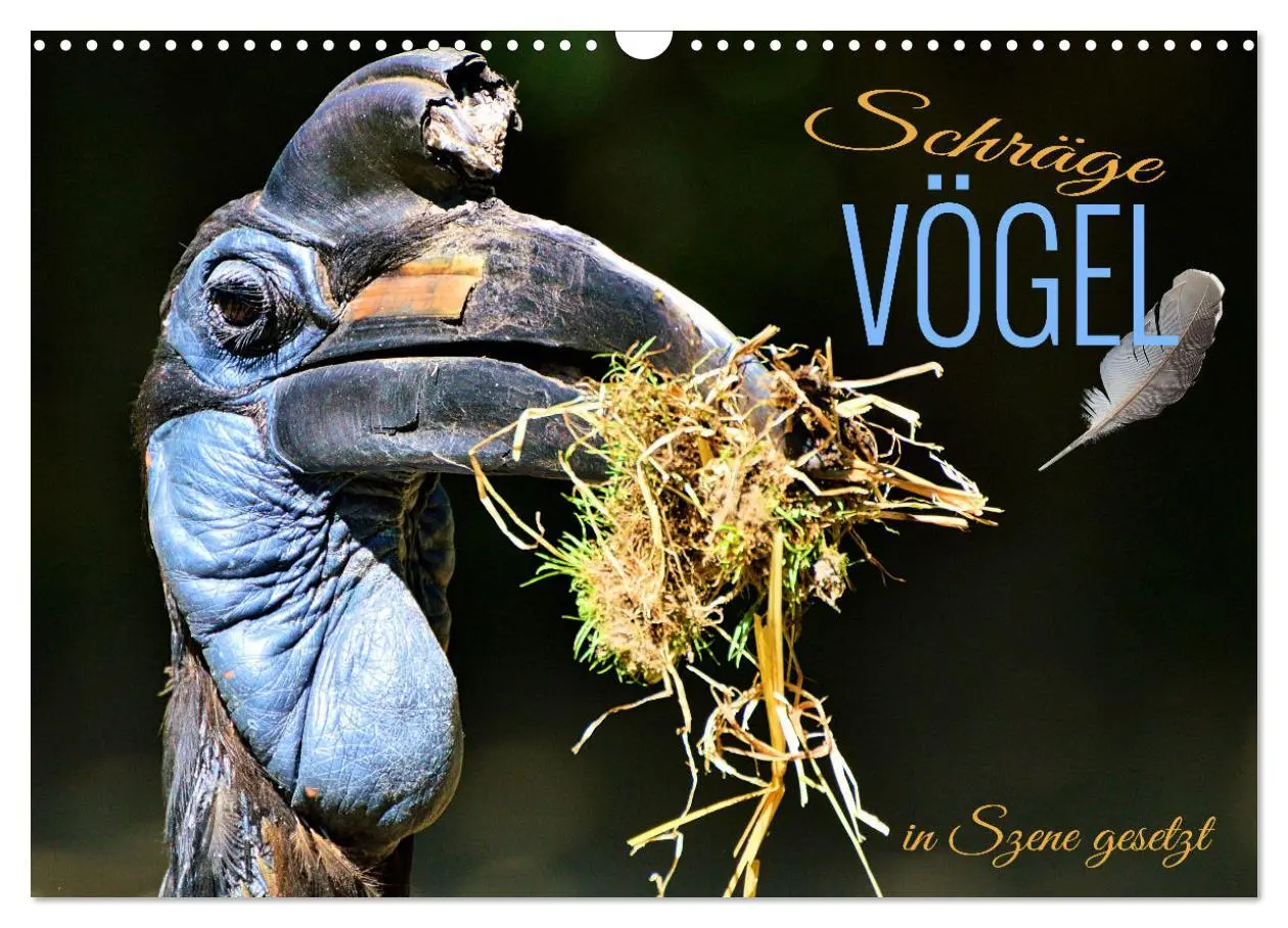 Cover: 9783457547762 | Schräge Vögel in Szene gesetzt (Wandkalender 2026 DIN A3 quer),...
