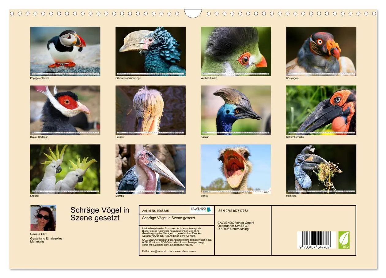Bild: 9783457547762 | Schräge Vögel in Szene gesetzt (Wandkalender 2026 DIN A3 quer),...