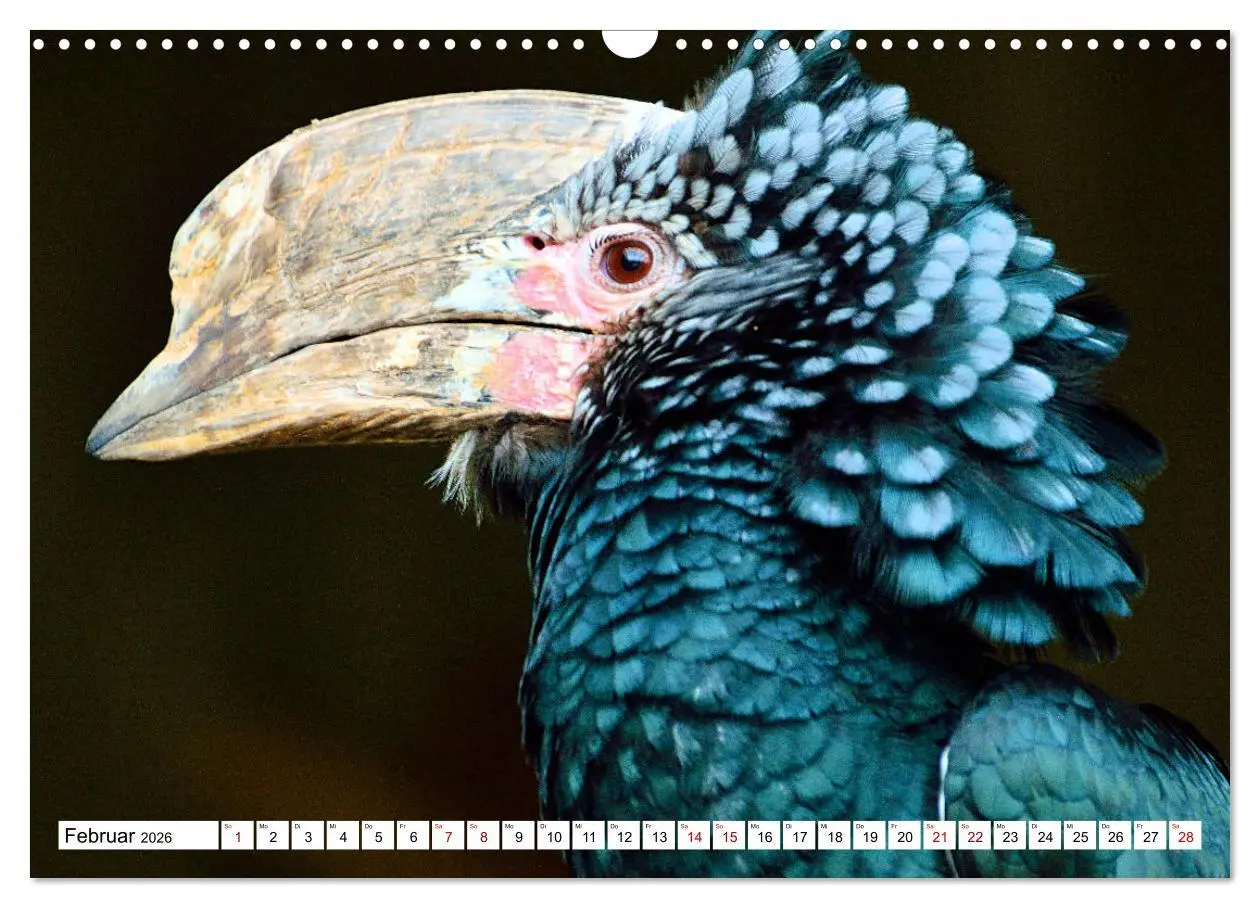 Bild: 9783457547762 | Schräge Vögel in Szene gesetzt (Wandkalender 2026 DIN A3 quer),...