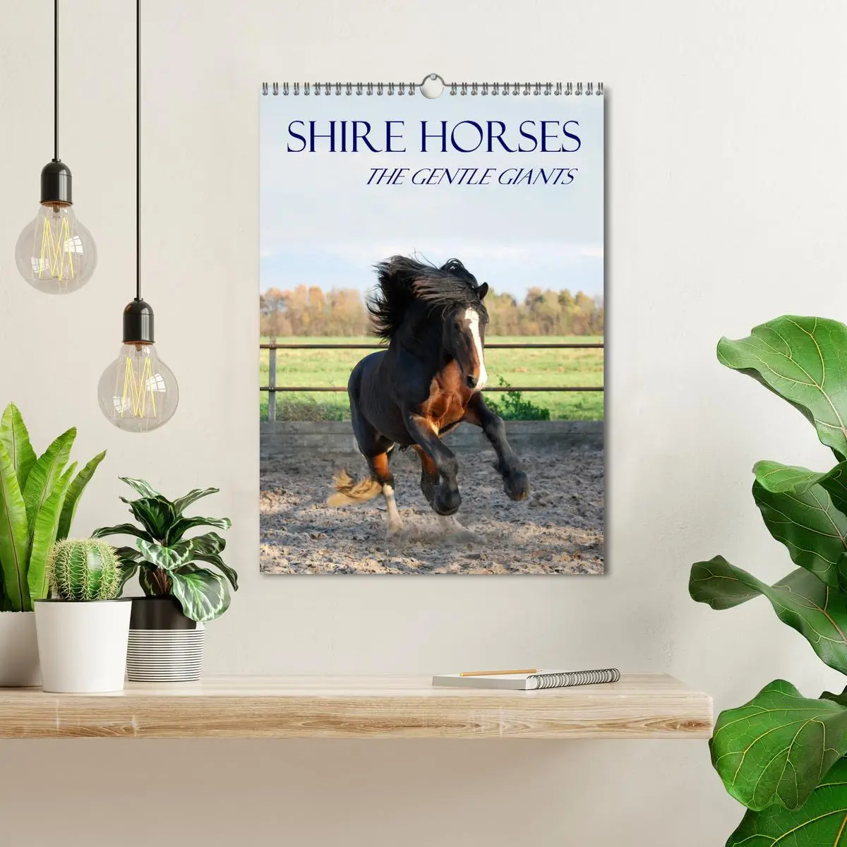 Bild: 9783516567762 | Shire Horses The Gentle Giants (Wall Calendar 2026 DIN A3...