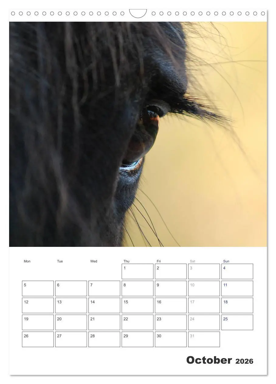 Bild: 9783516567762 | Shire Horses The Gentle Giants (Wall Calendar 2026 DIN A3...