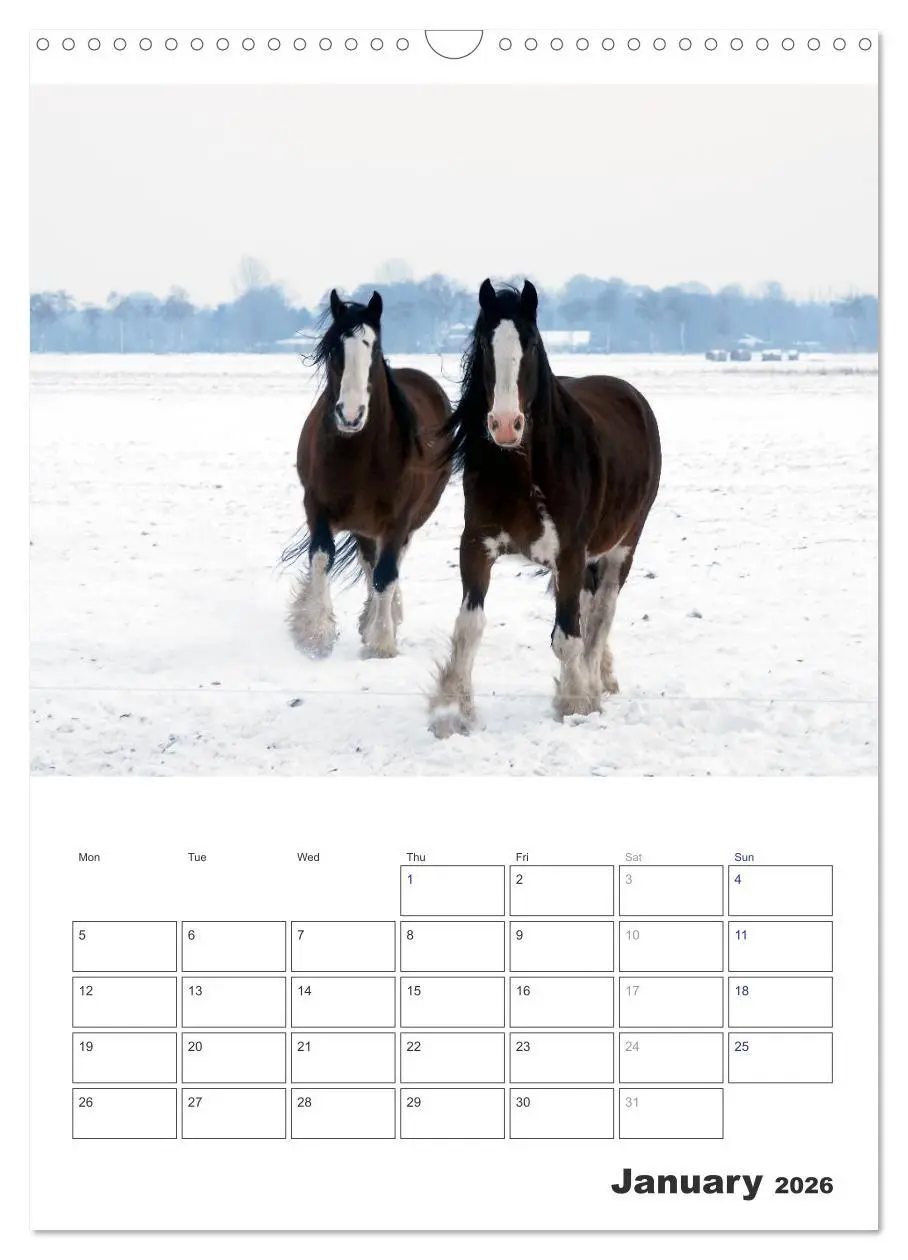 Bild: 9783516567762 | Shire Horses The Gentle Giants (Wall Calendar 2026 DIN A3...