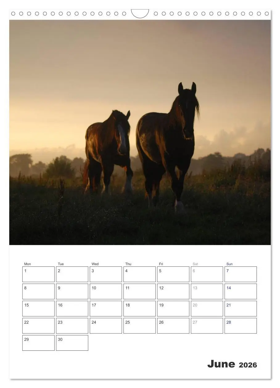 Bild: 9783516567762 | Shire Horses The Gentle Giants (Wall Calendar 2026 DIN A3...