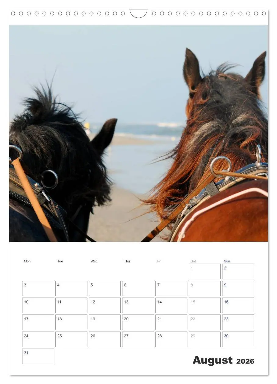 Bild: 9783516567762 | Shire Horses The Gentle Giants (Wall Calendar 2026 DIN A3...