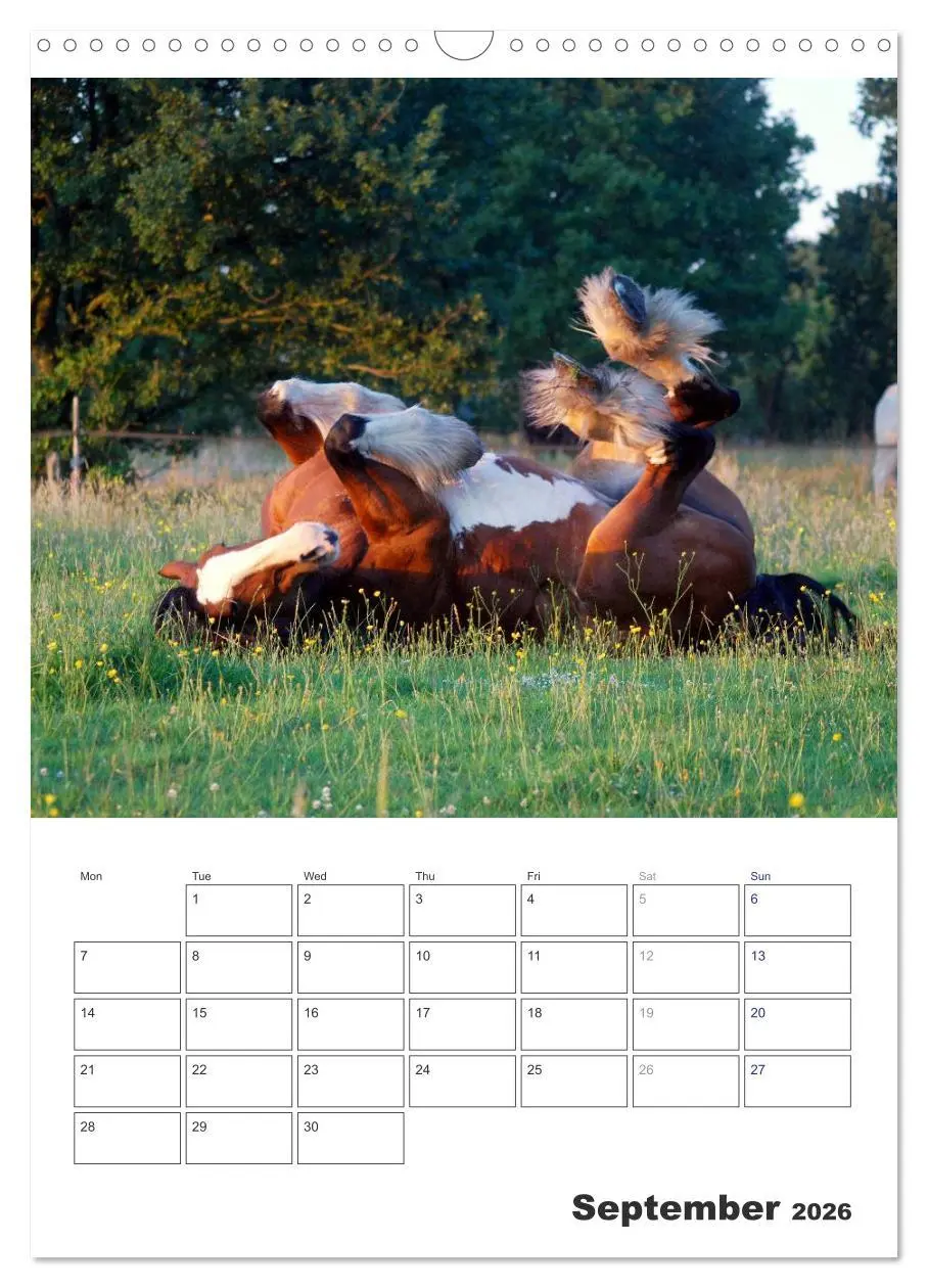 Bild: 9783516567762 | Shire Horses The Gentle Giants (Wall Calendar 2026 DIN A3...