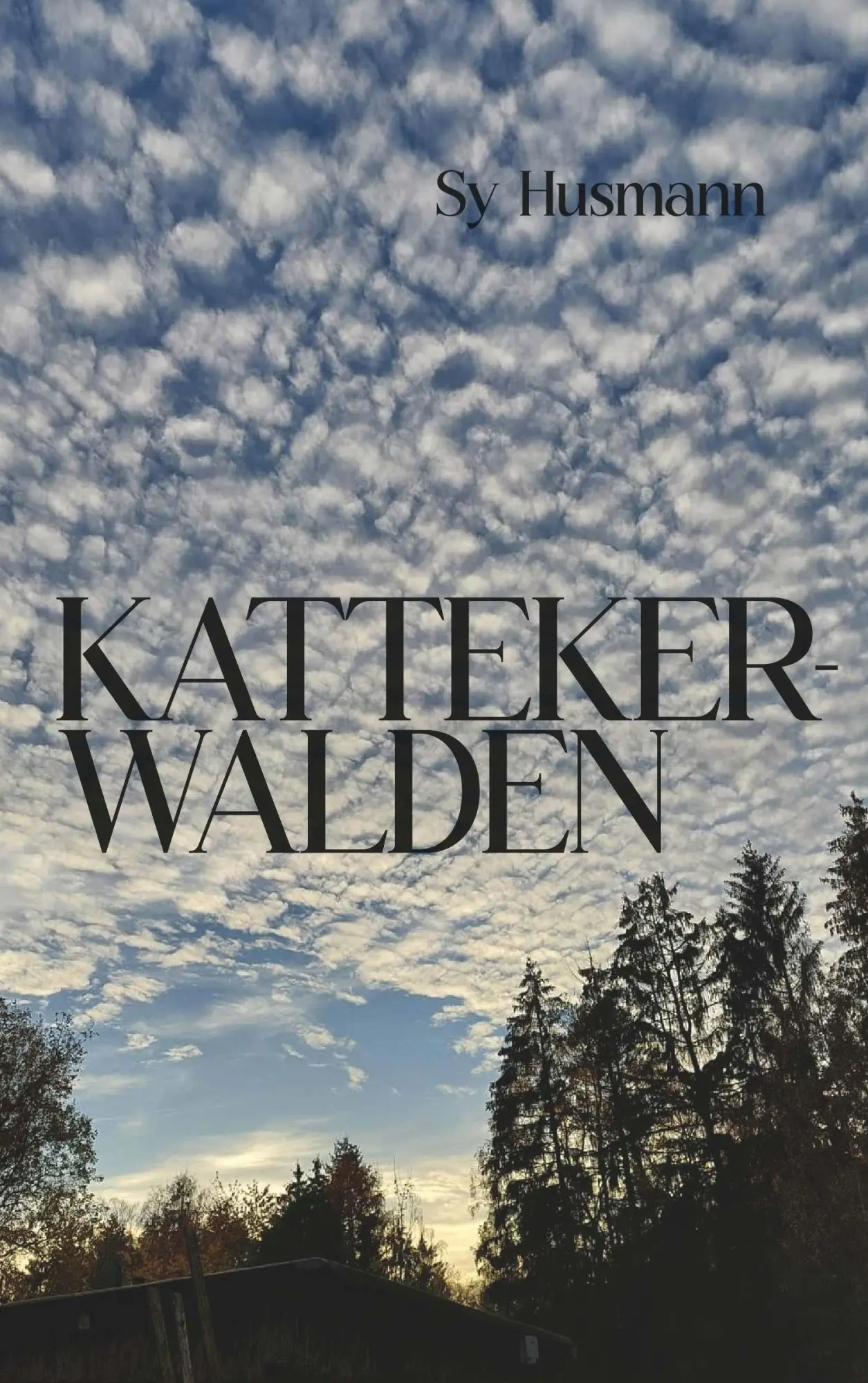 Cover: 9783991397762 | Kattekerwalden | Sy Husmann | Taschenbuch | 216 S. | Deutsch | 2023