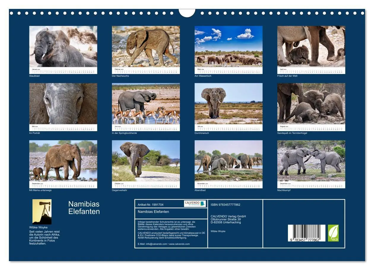 Bild: 9783457777862 | Namibias Elefanten (Wandkalender 2026 DIN A3 quer), CALVENDO...