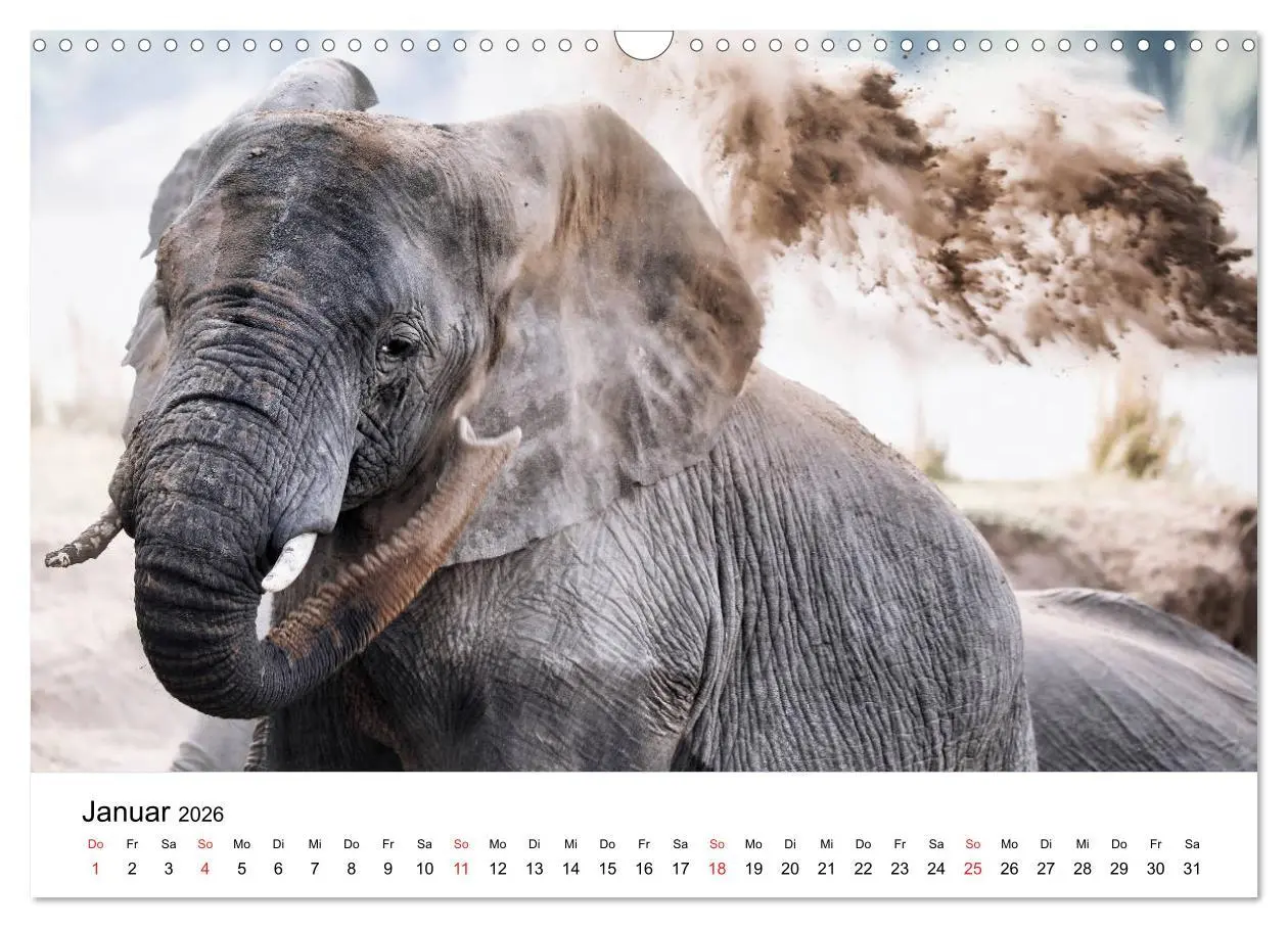 Bild: 9783457777862 | Namibias Elefanten (Wandkalender 2026 DIN A3 quer), CALVENDO...