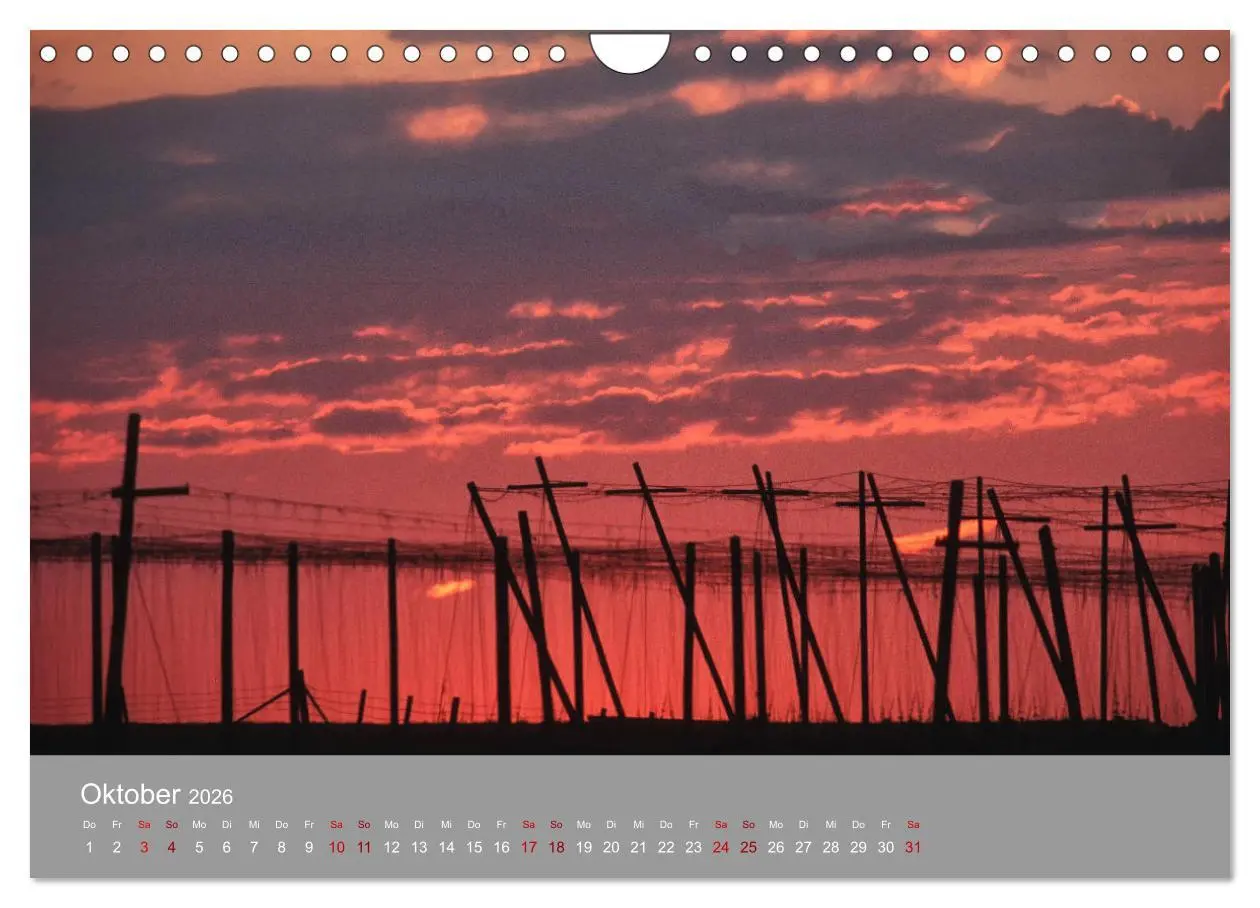 Bild: 9783457917862 | Hallertau (Wandkalender 2026 DIN A4 quer), CALVENDO Monatskalender