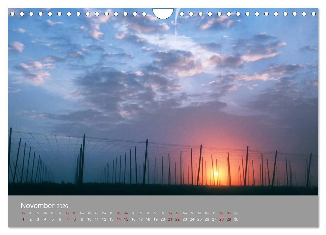 Bild: 9783457917862 | Hallertau (Wandkalender 2026 DIN A4 quer), CALVENDO Monatskalender