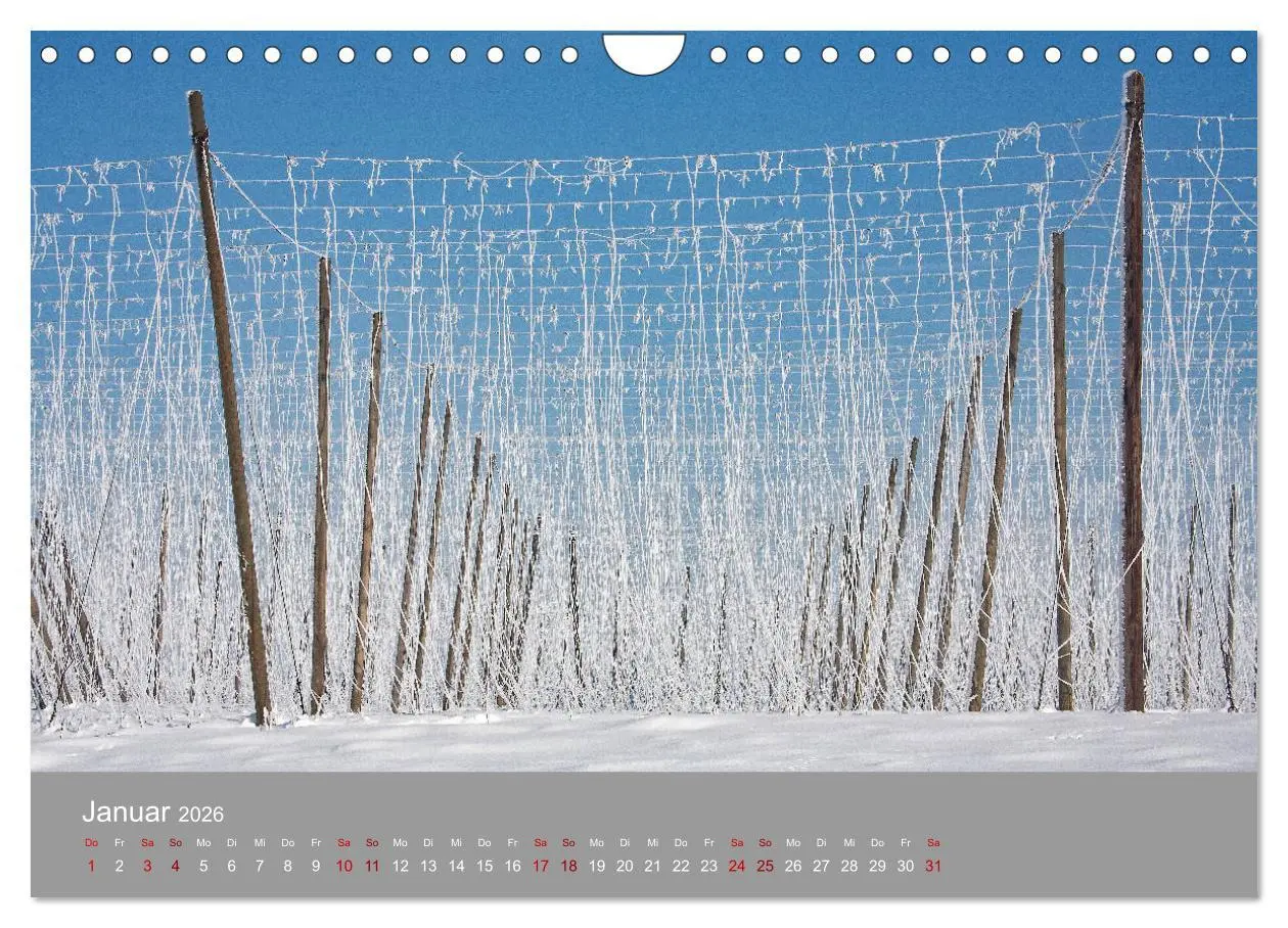 Bild: 9783457917862 | Hallertau (Wandkalender 2026 DIN A4 quer), CALVENDO Monatskalender