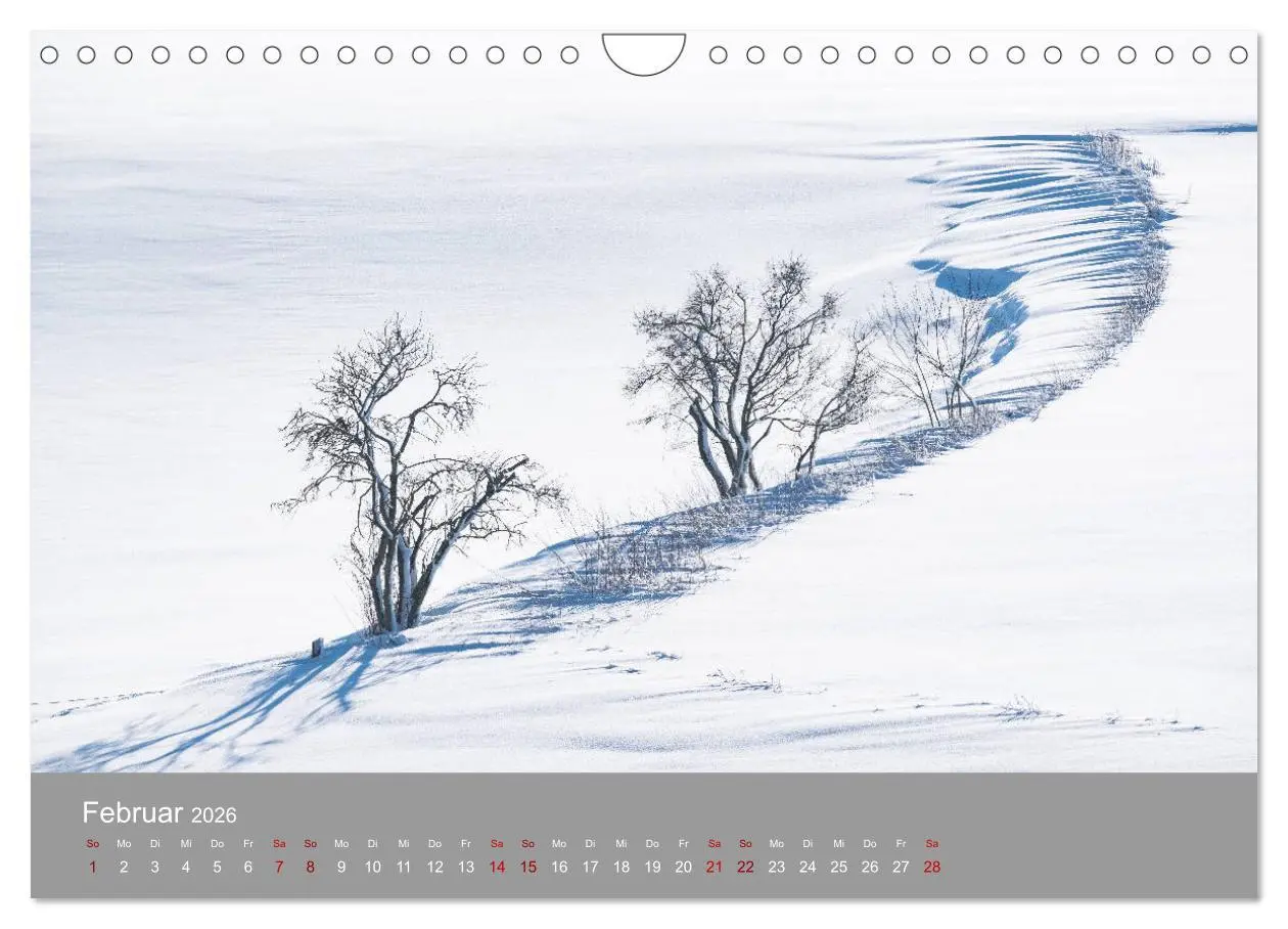 Bild: 9783457917862 | Hallertau (Wandkalender 2026 DIN A4 quer), CALVENDO Monatskalender