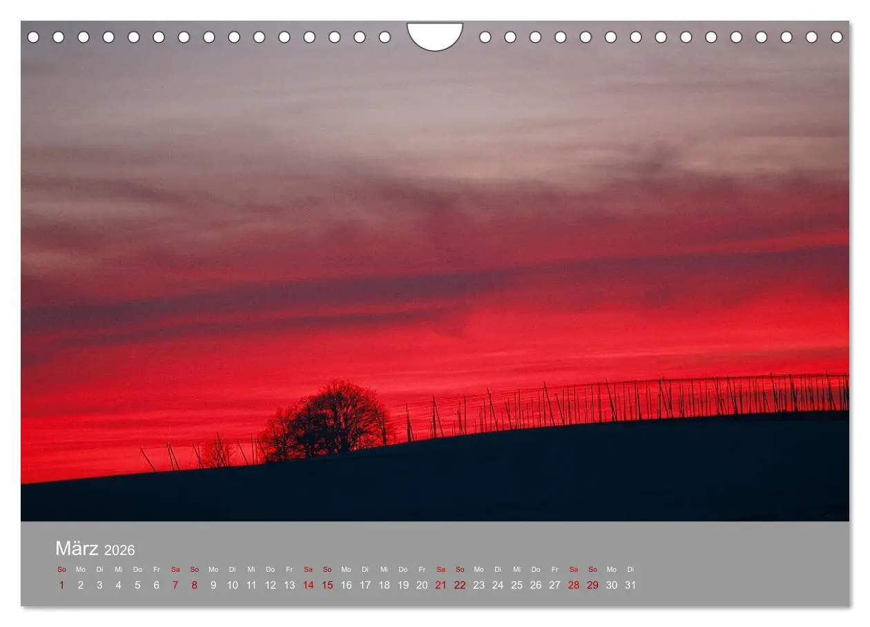 Bild: 9783457917862 | Hallertau (Wandkalender 2026 DIN A4 quer), CALVENDO Monatskalender