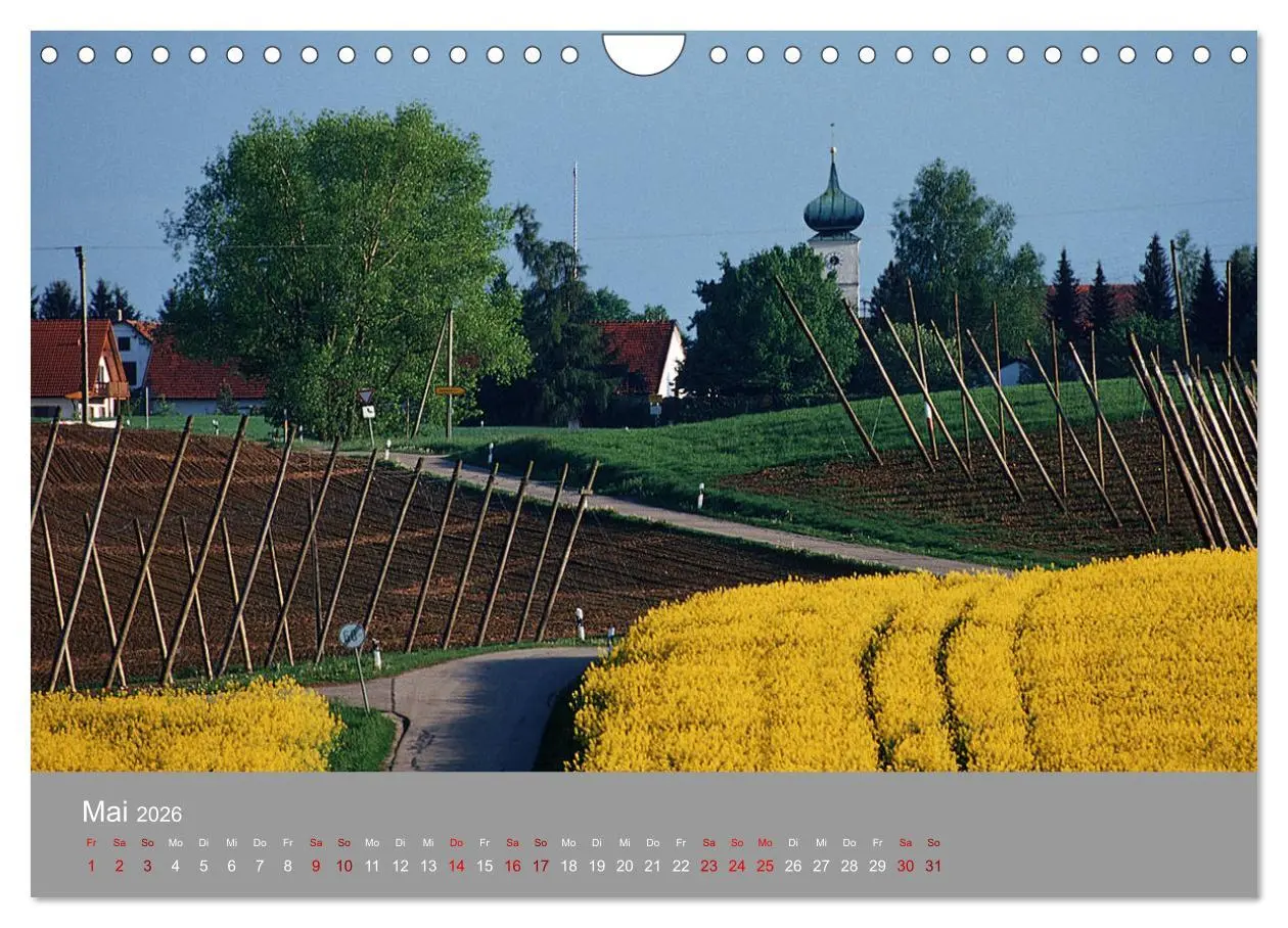 Bild: 9783457917862 | Hallertau (Wandkalender 2026 DIN A4 quer), CALVENDO Monatskalender