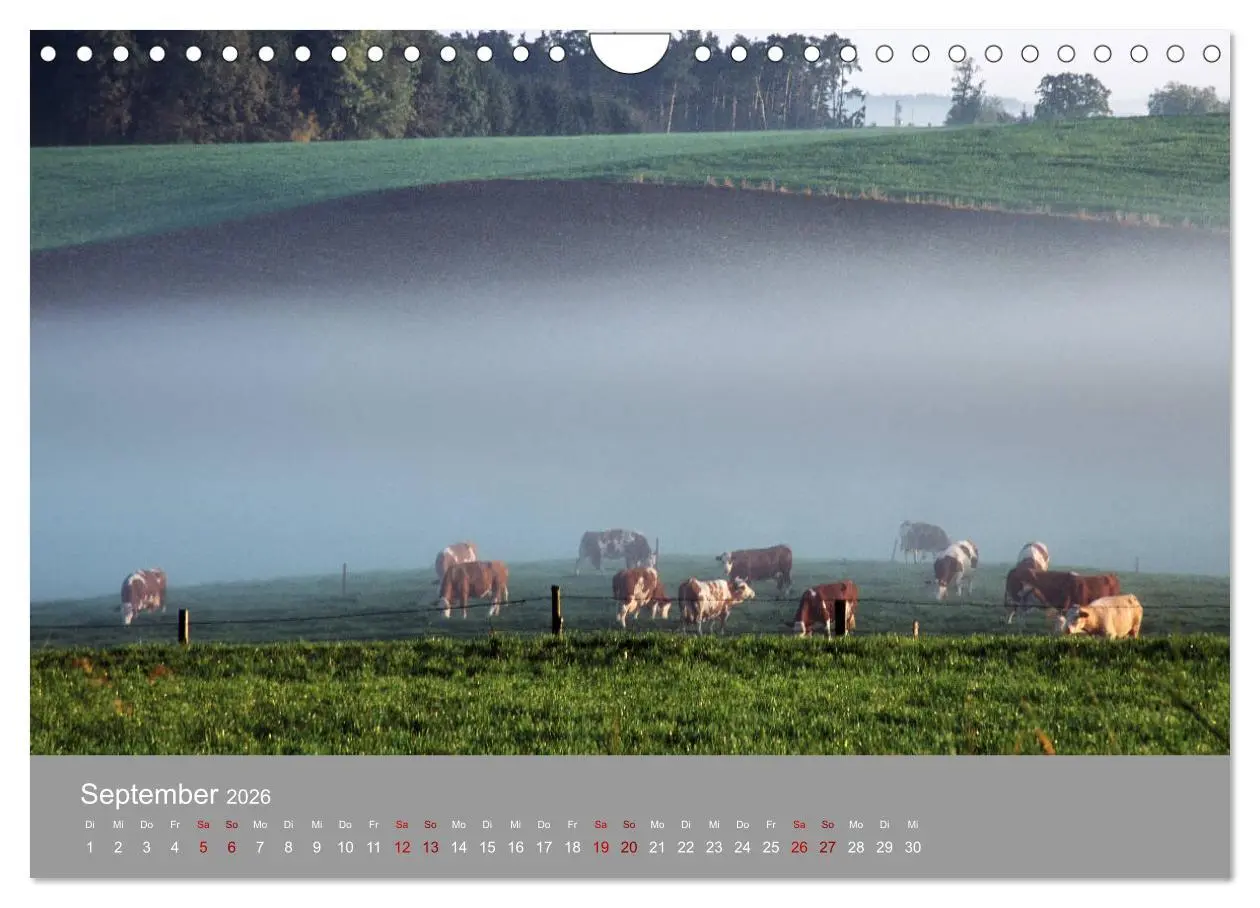 Bild: 9783457917862 | Hallertau (Wandkalender 2026 DIN A4 quer), CALVENDO Monatskalender