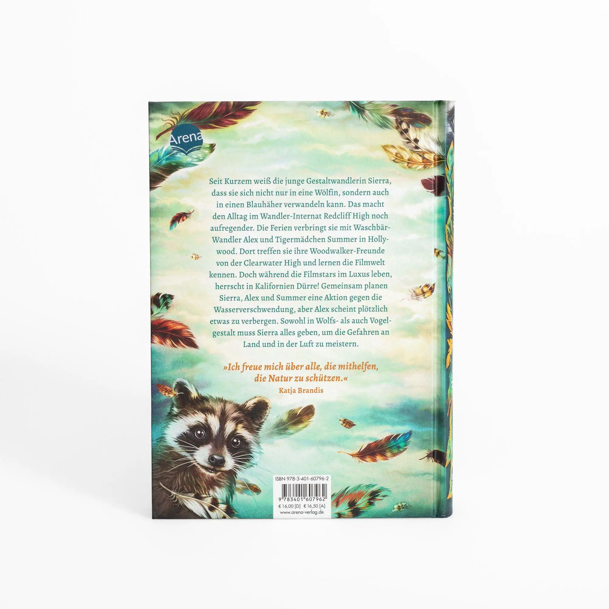 Bild: 9783401607962 | Windwalkers (2). Helden der Lüfte | Katja Brandis | Buch | Windwalkers