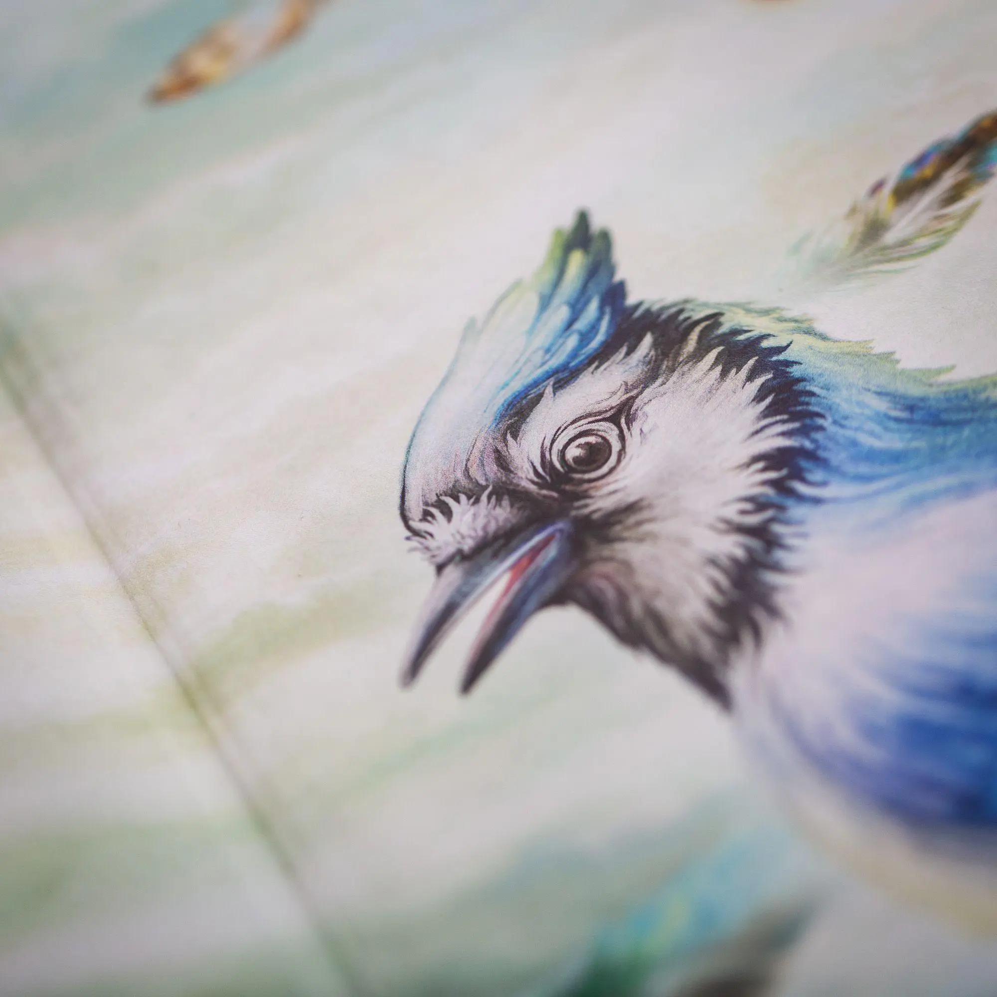 Bild: 9783401607962 | Windwalkers (2). Helden der Lüfte | Katja Brandis | Buch | Windwalkers