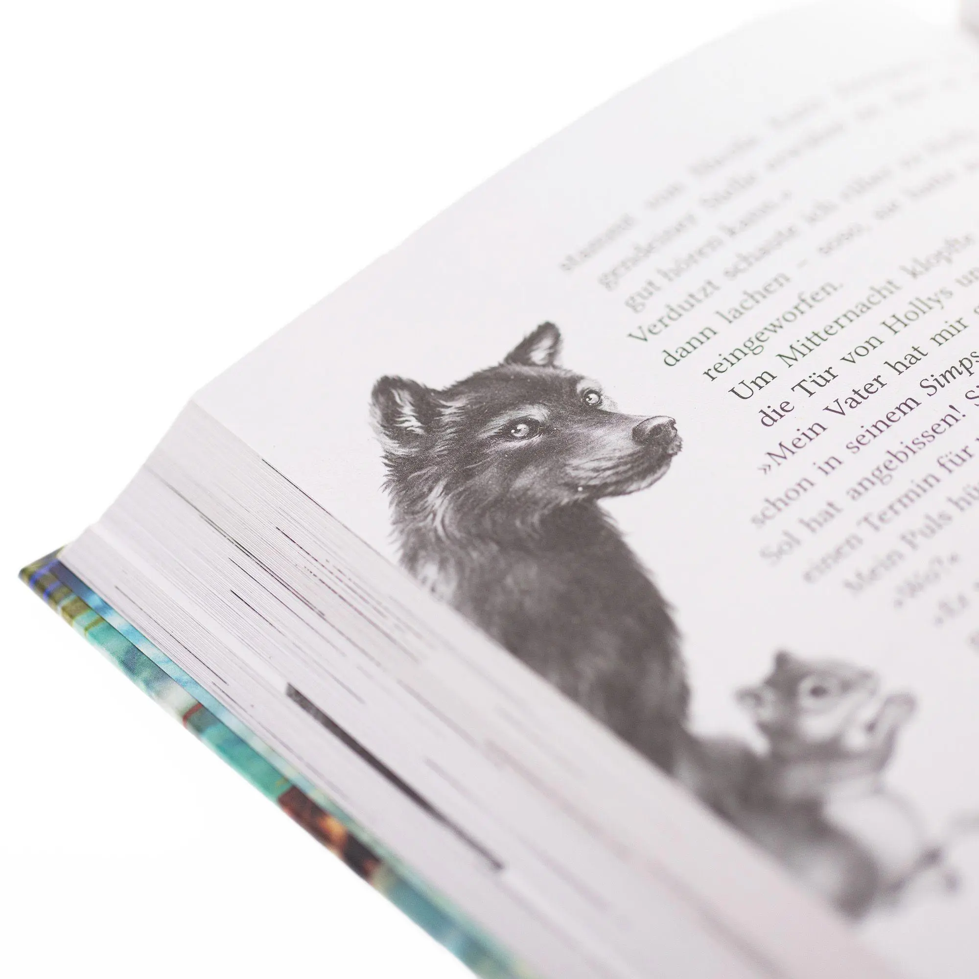 Bild: 9783401607962 | Windwalkers (2). Helden der Lüfte | Katja Brandis | Buch | Windwalkers
