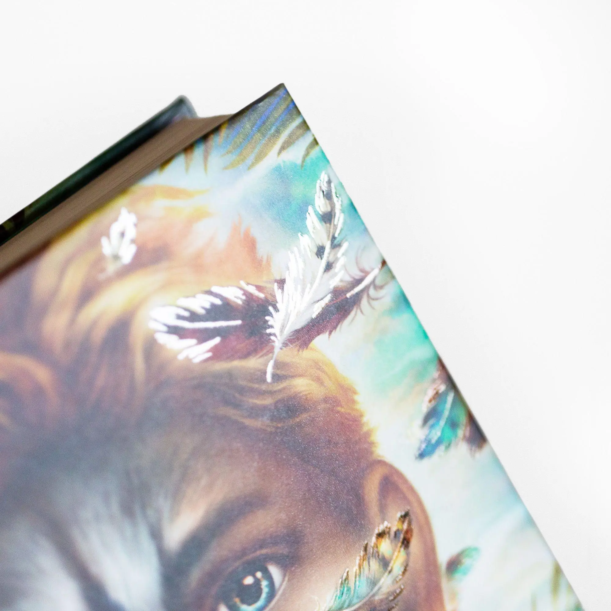 Bild: 9783401607962 | Windwalkers (2). Helden der Lüfte | Katja Brandis | Buch | Windwalkers