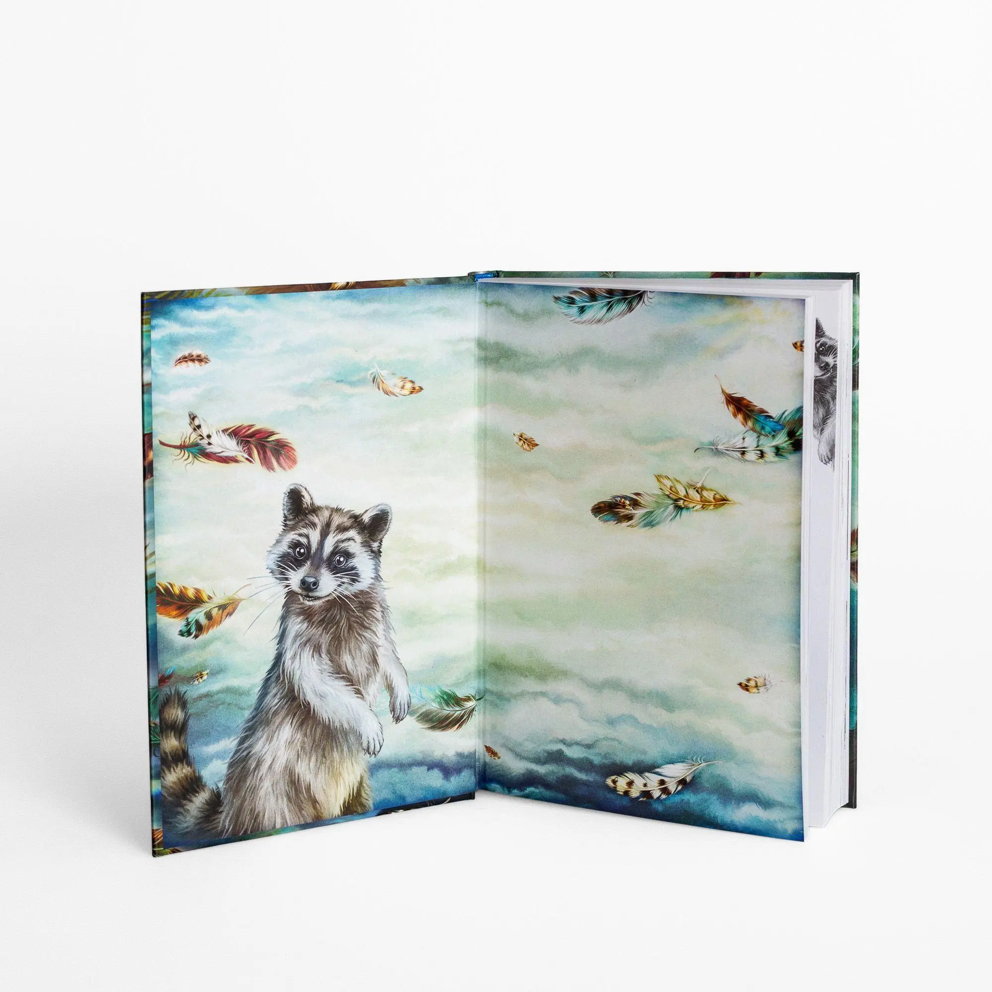 Bild: 9783401607962 | Windwalkers (2). Helden der Lüfte | Katja Brandis | Buch | Windwalkers