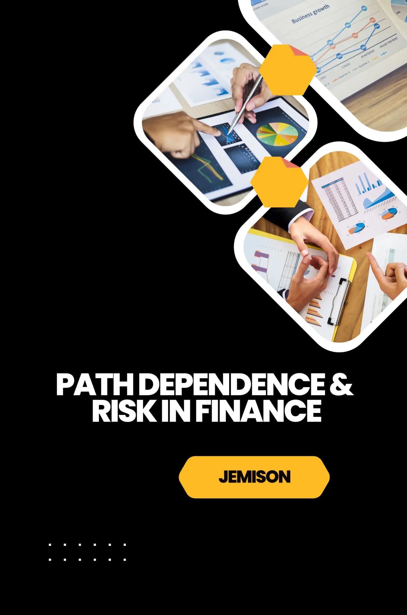 Path Dependence & Risk in Finance - Jemison Kartoniert (TB)